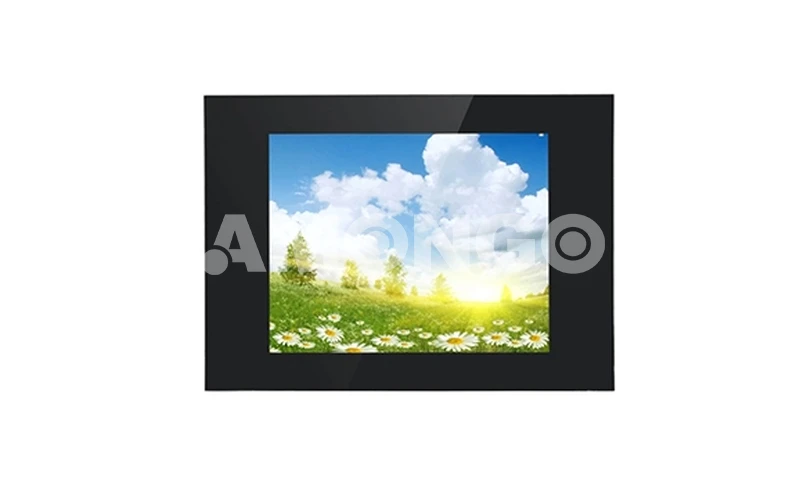 AMG-17OPGD01T5 Дисплей высокой яркости