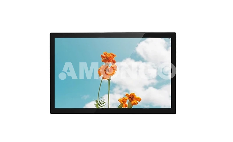 AMG-21IPRV01T1 Дисплей высокой яркости